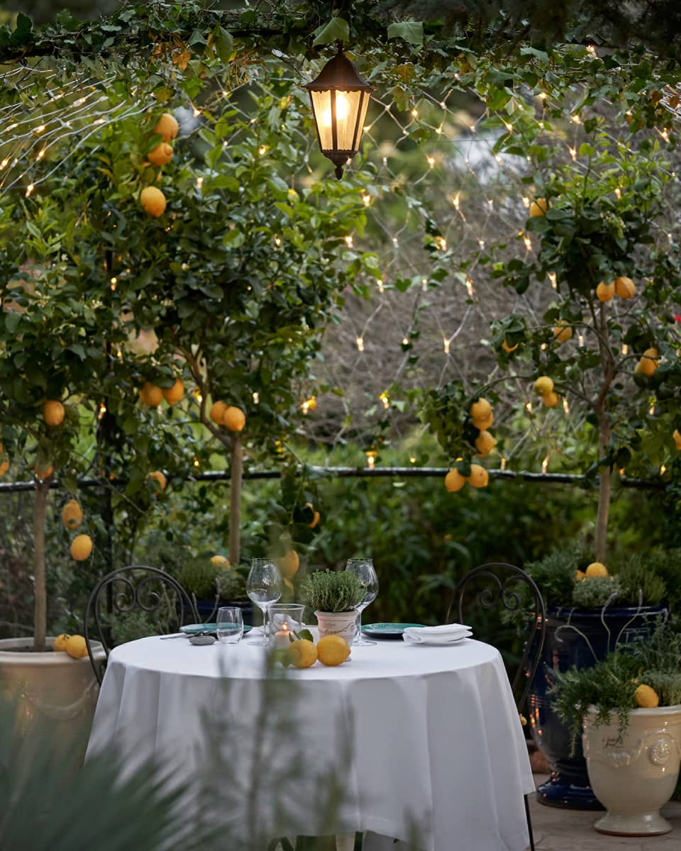 Looking into a secret garden with a table covered in a white cloth placed in the middle of it, orange flowers and green leaves are all around.