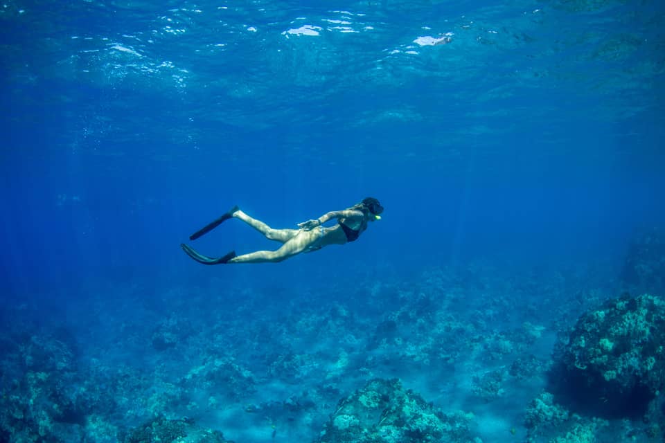A snorkeller in black flippers and mask explores a rocky coral reef below, as rays of sunlight filter from above the blue water.