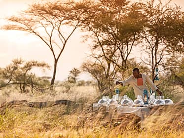  Dine by lantern in the bush  