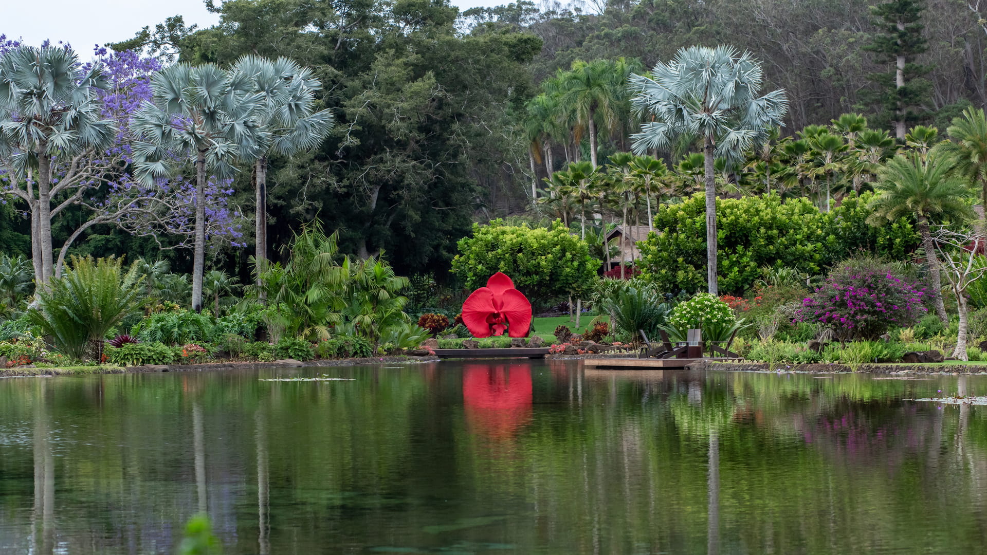 A large scarlet sculpture of an orchid standing on the far bank of the garden pond, its reflection running down the green water, surrounded by silver-blue fan palms, flowering jacaranda and beds of bougainvillea against dense upland forest.