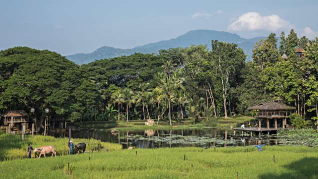 Enjoy a Tour of Thailand at Four Seasons Tented Camp Golden Triangle