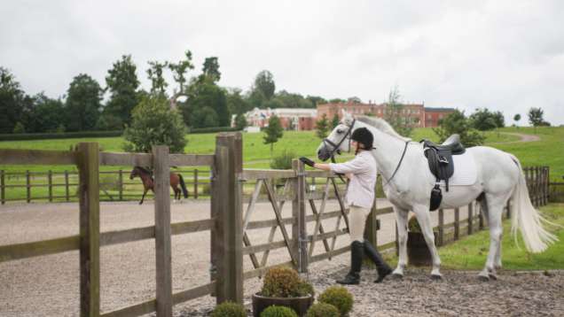 Equestrian Activities in Hampshire
