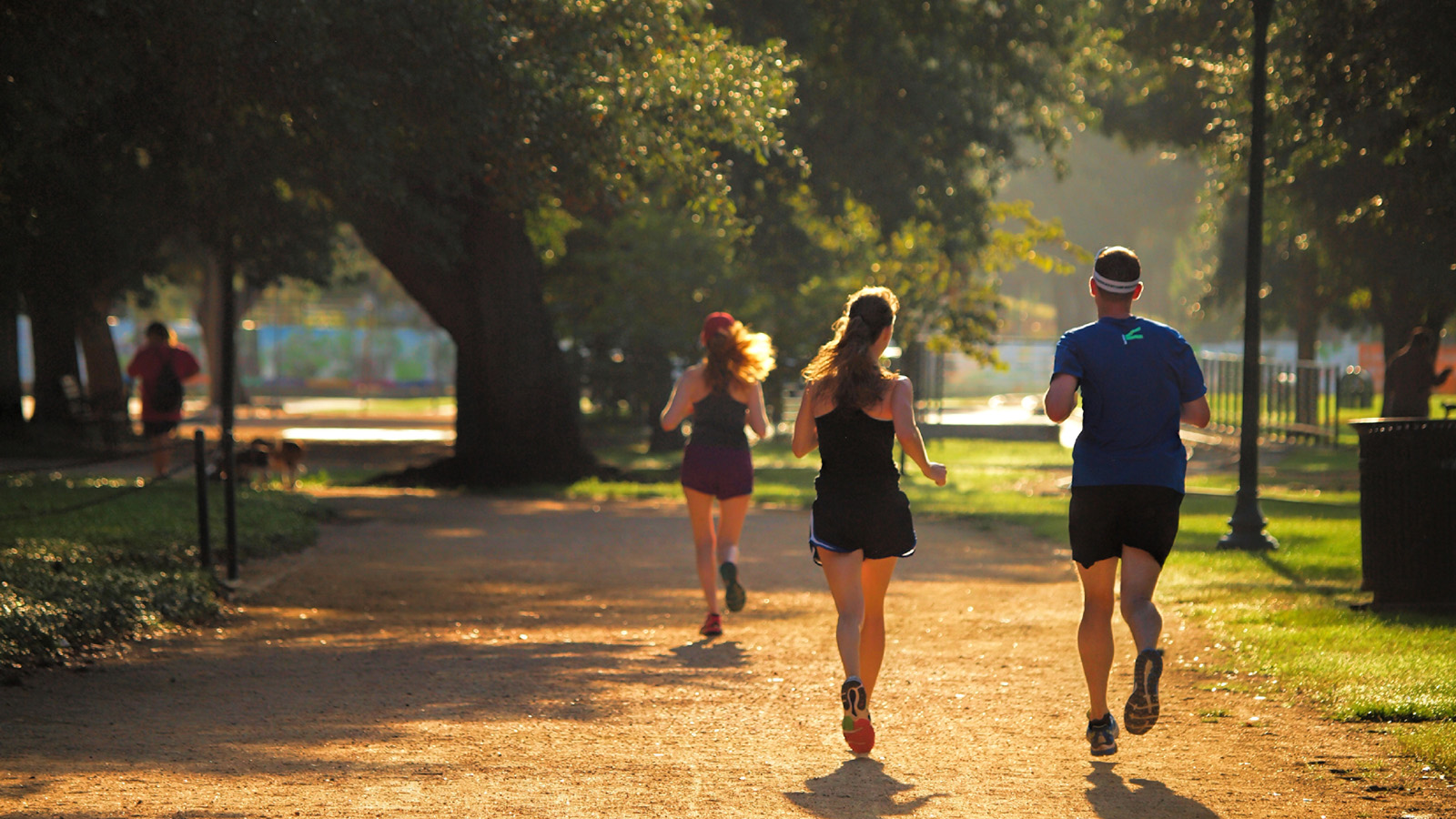 5 Best Places to Run in Houston