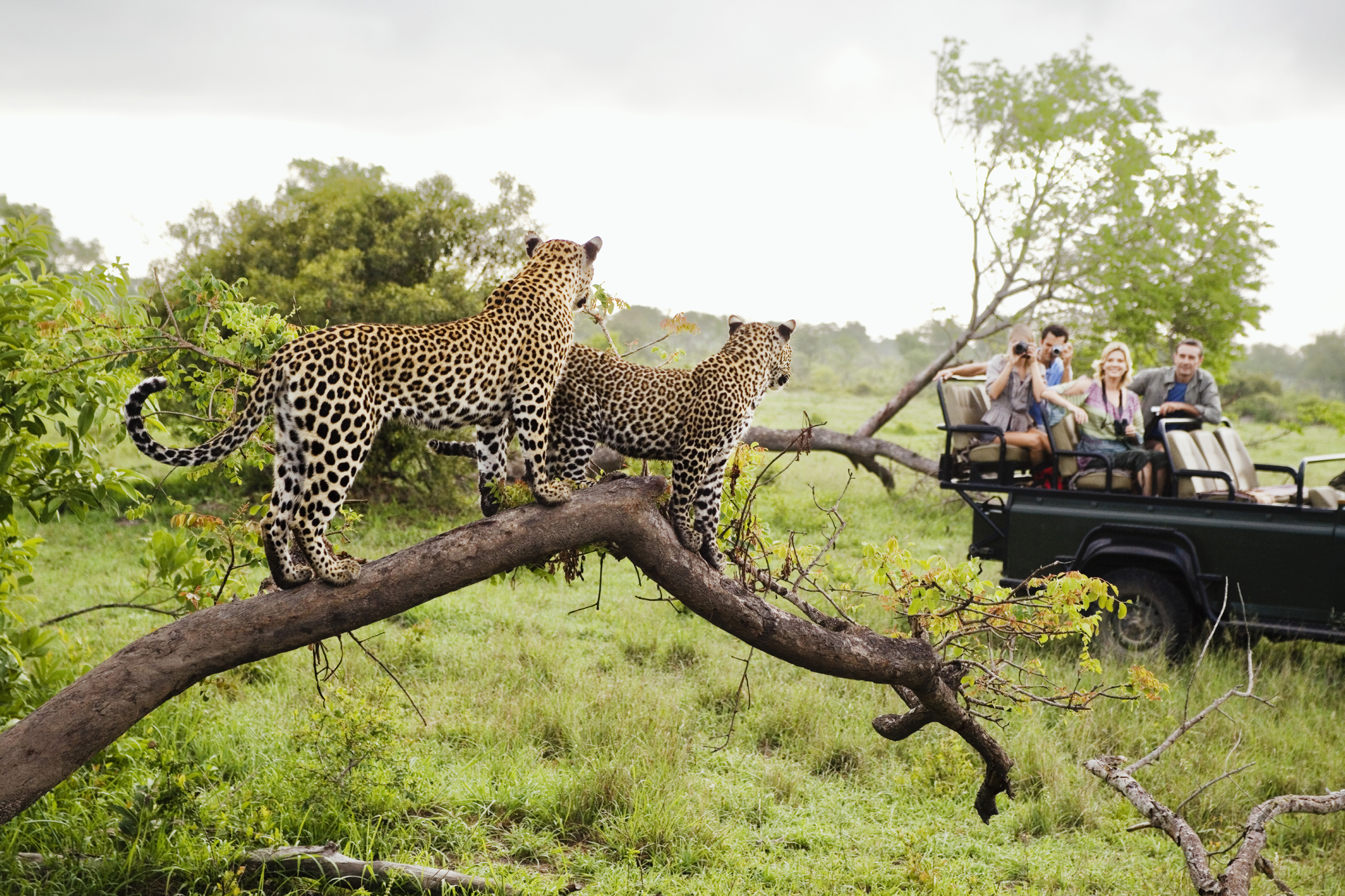 People and wildlife