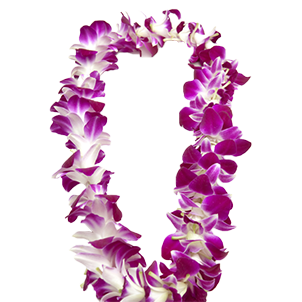 Hawaii Big Island Resort | Kona Resort | Four Seasons Hualalai