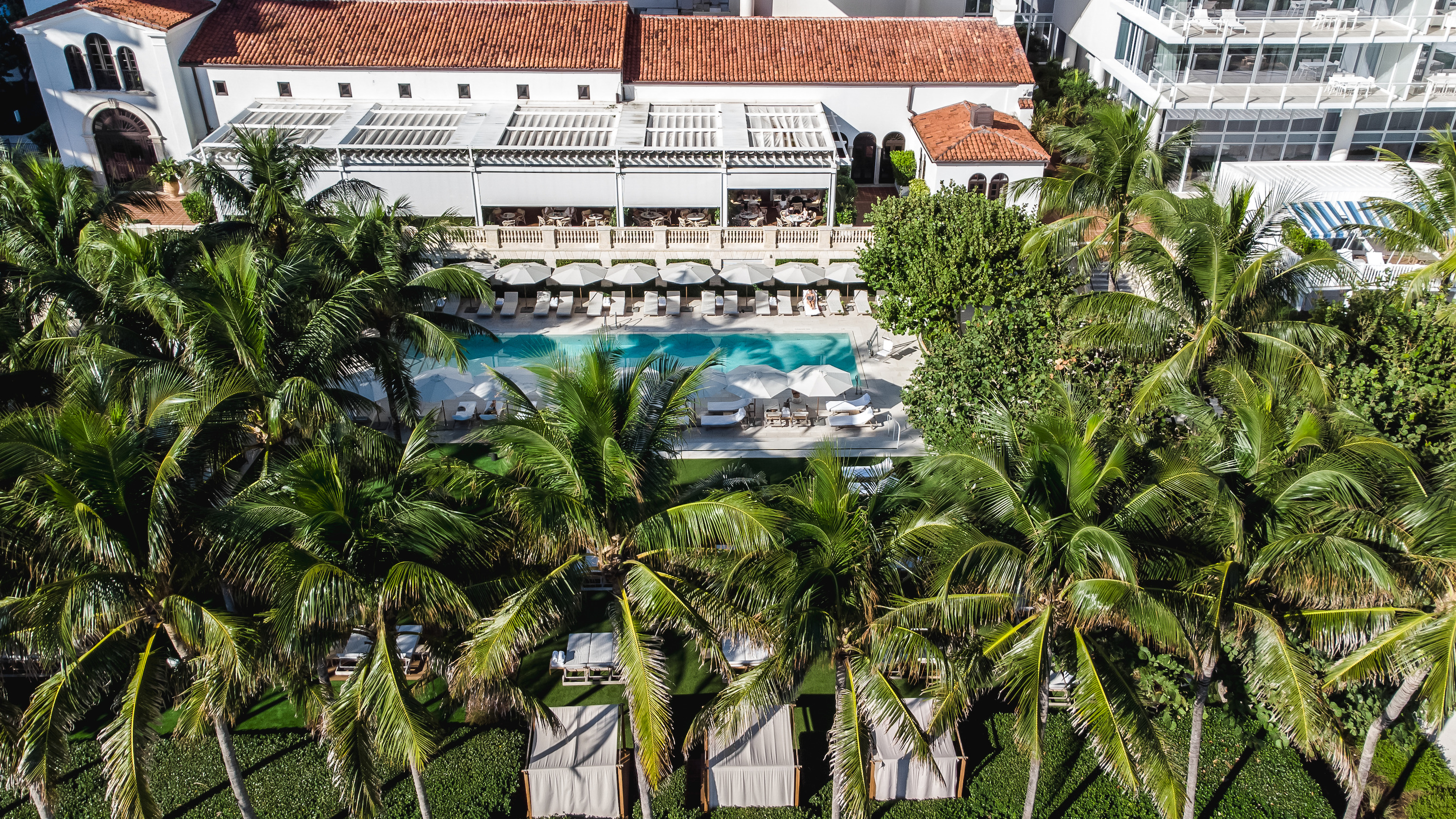 Palm treetops in the foreground frame a long white building with red clay roofs and a blue pool beyond.