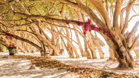 Punta Mita Outdoor Wedding Venue Function Rooms Four Seasons Next Prev