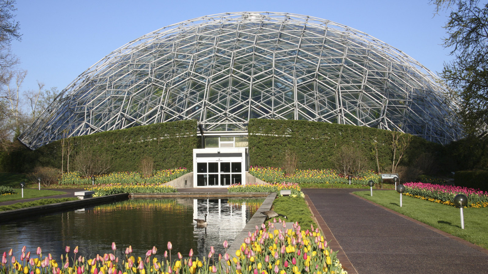 Dome Roofs Minecraft