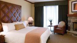 [Accommodation image]