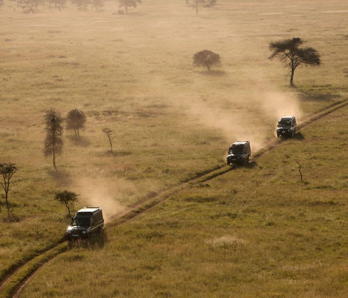 Sunset on the Serengeti—Africa