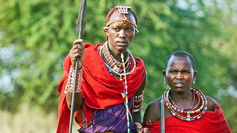 Take a Wild Walk in the Serengeti