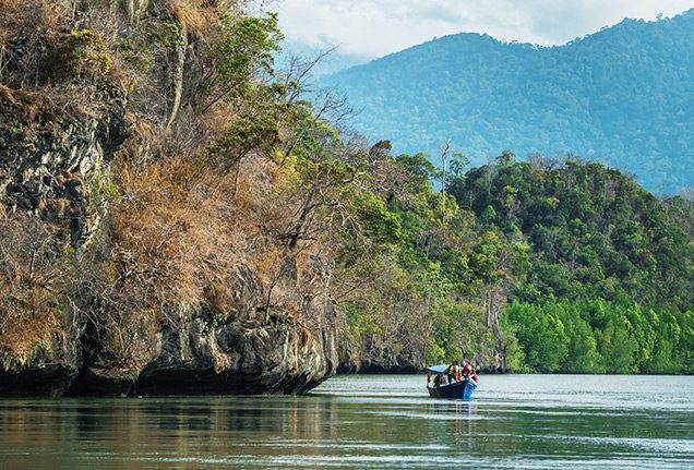 Boat floating through Langkawi mangroves