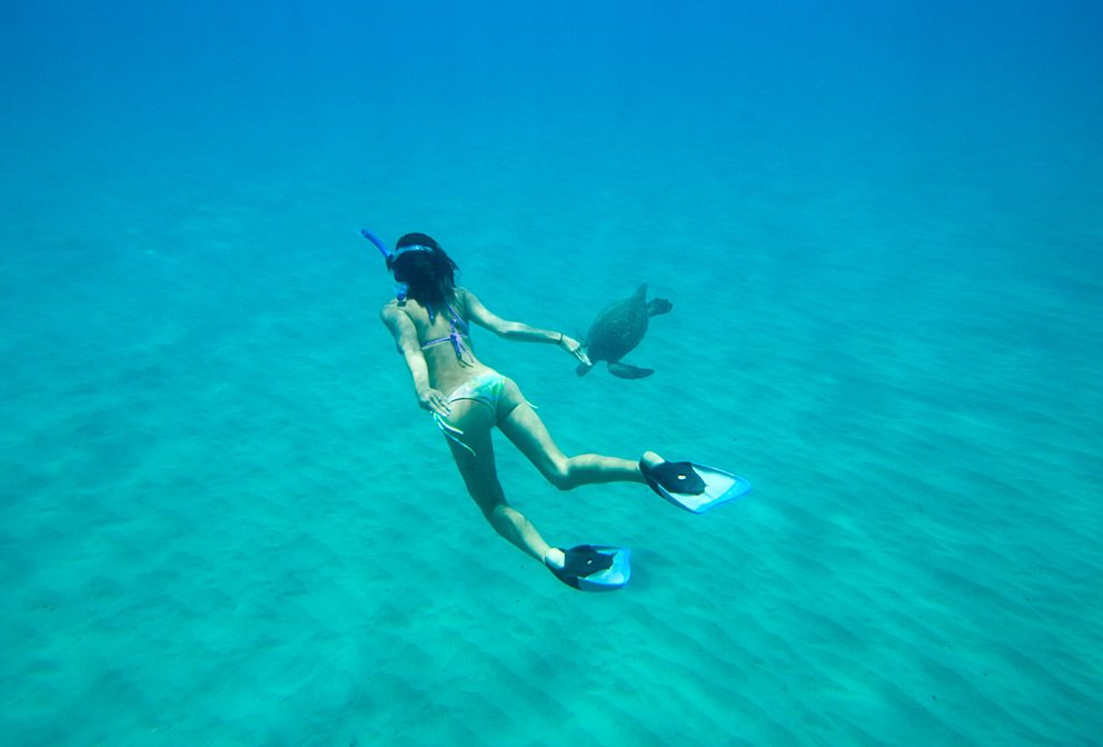 A snorkeler swims with a turtle in Makena, Maui