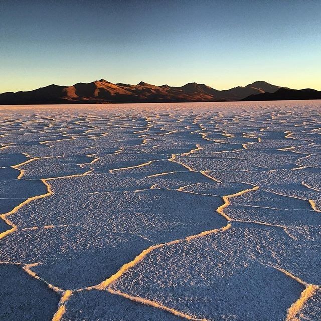 Desert landscape