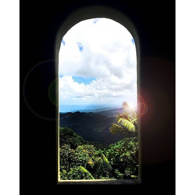 A lush landscape viewed from a window