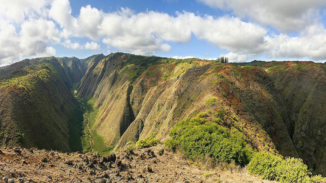 Koloiki Ridge trail