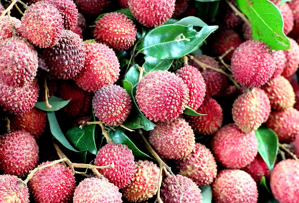 Lychee at Chiang Rai market
