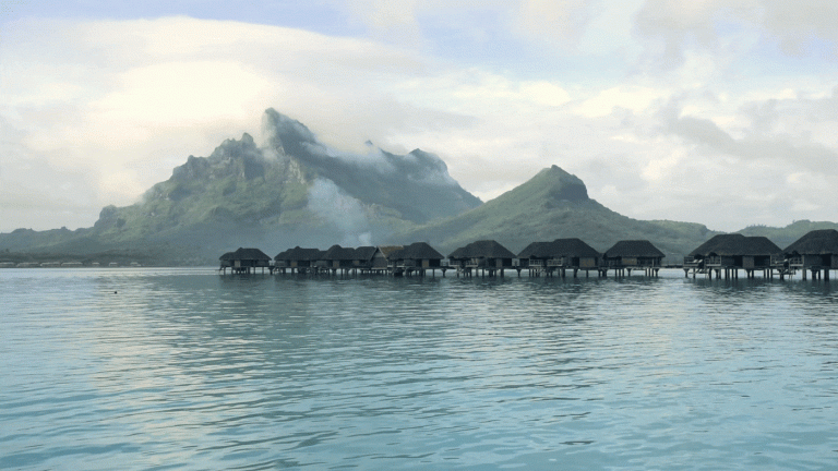 beneath the surface in Bora Bora