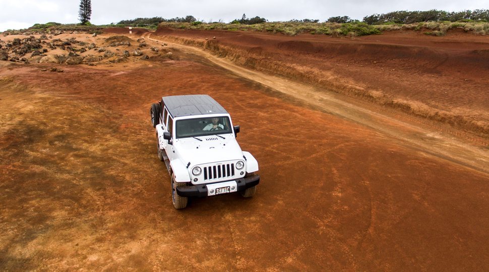 A Jeep in the wilderness