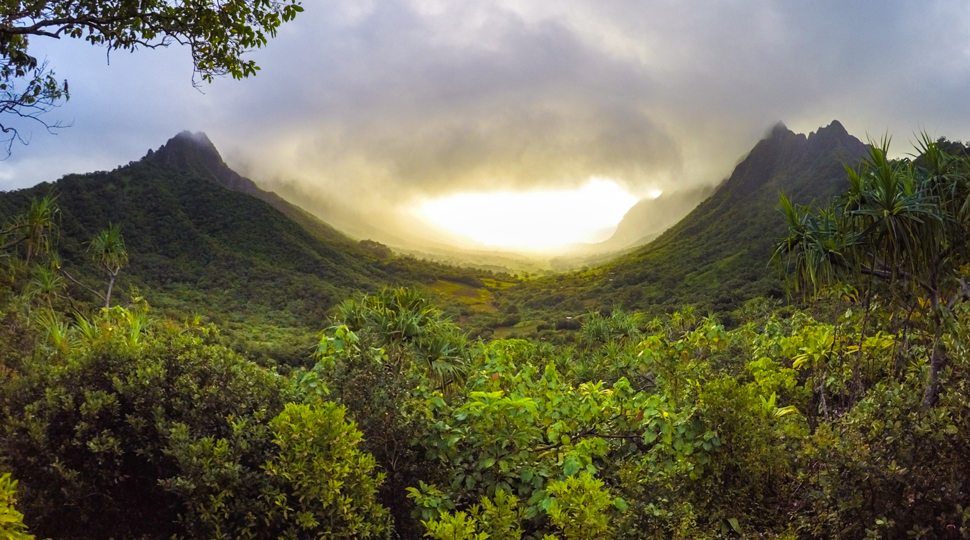 Kualoa
