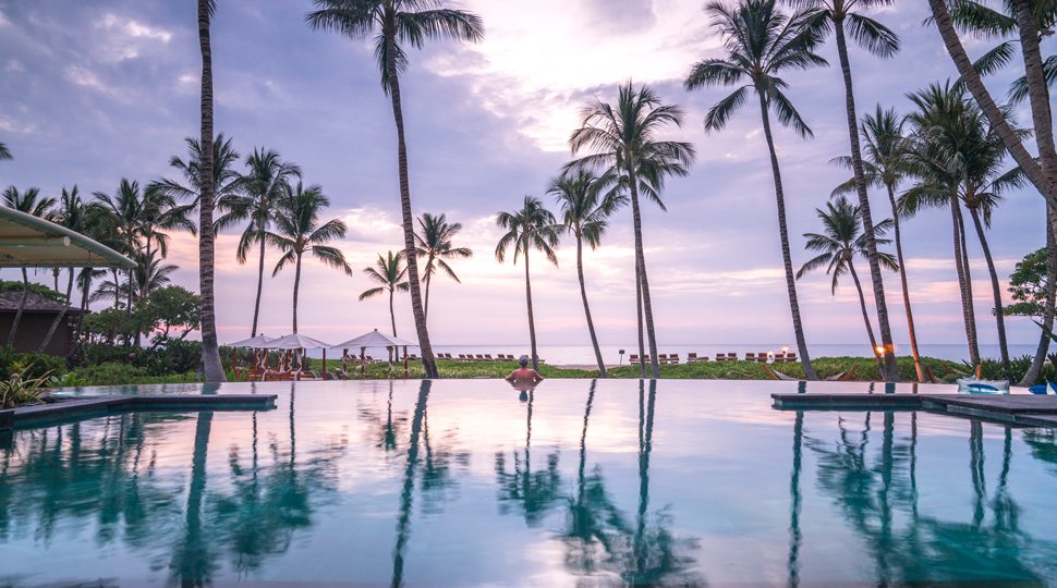 Palm trees over pool