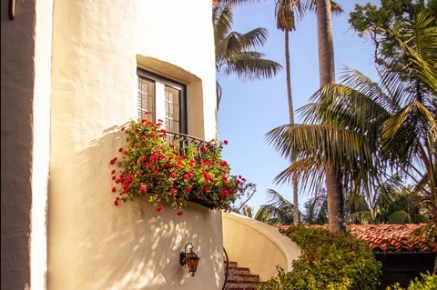 Flowers by stairwell