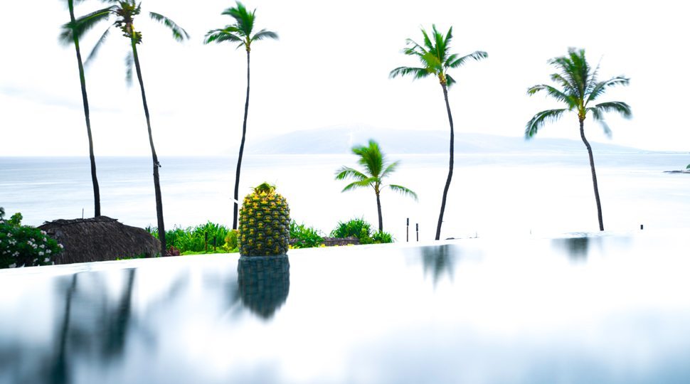 Pineapple by side of infinity pool
