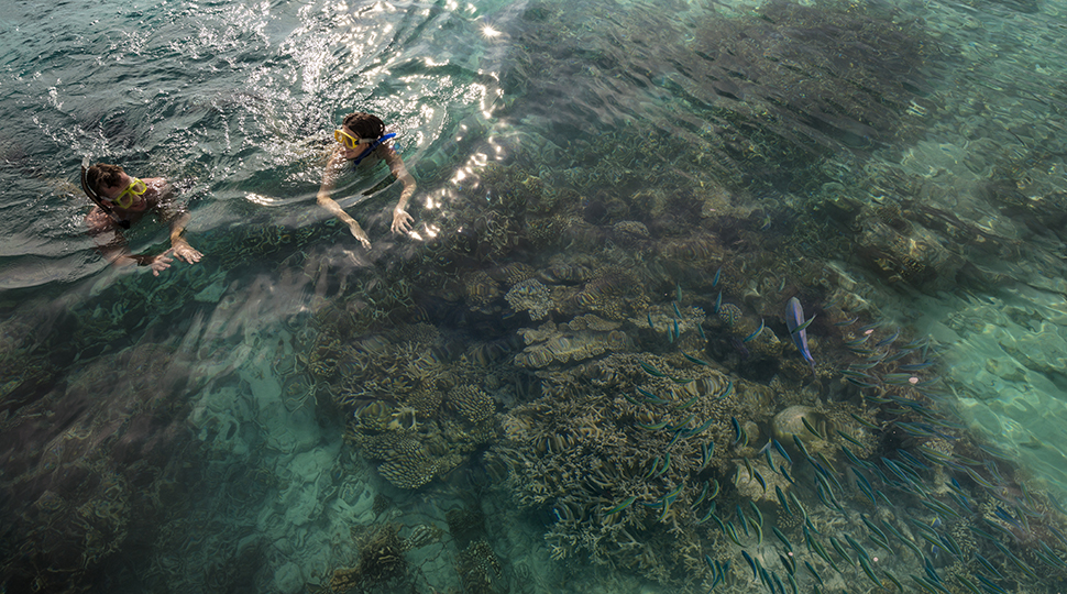 Couple Snorkeling