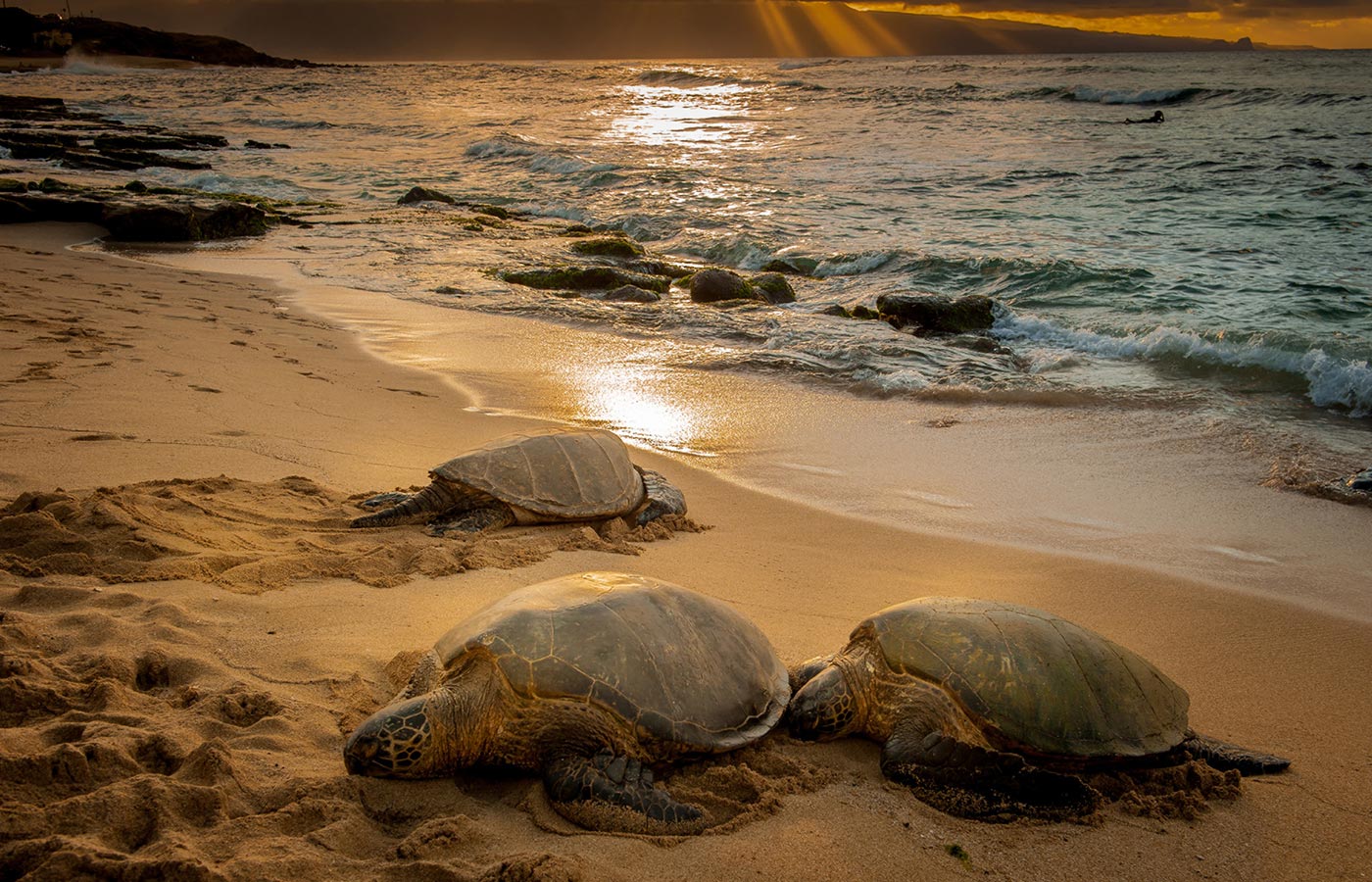 Maui Photo Adventure