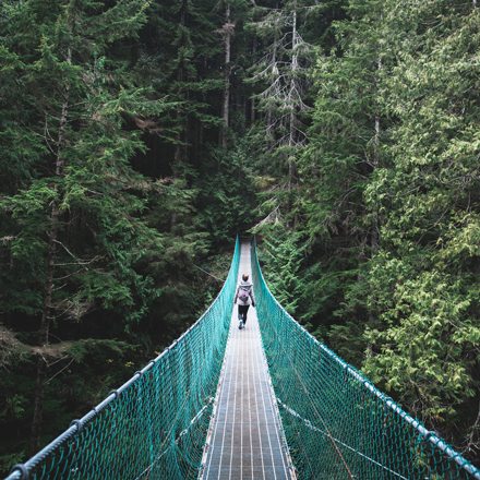 Bridge in Canada