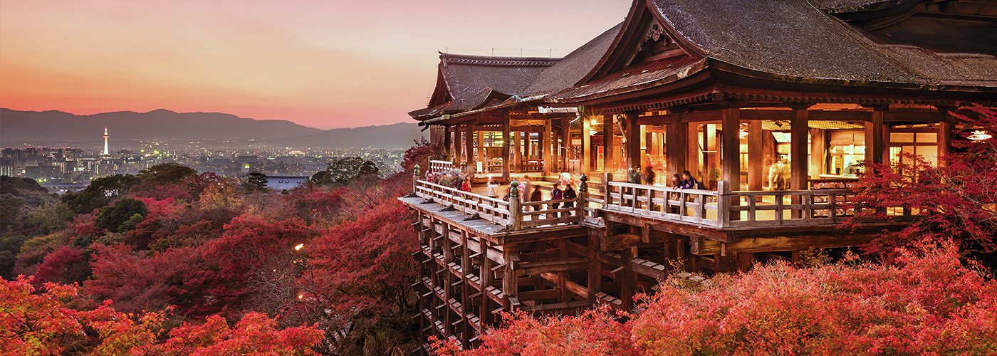 Kyo 800 Falltrips Header 1400x500