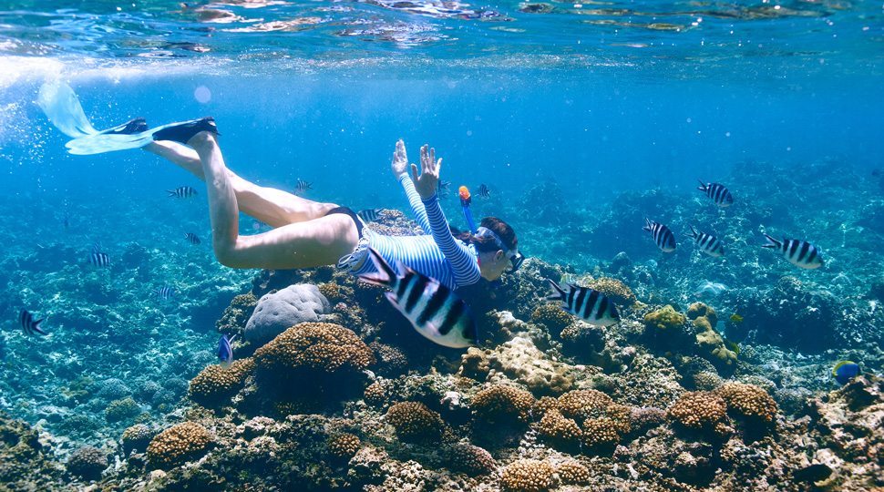 The waters of Seychelles are filled with vibrant reefs.
