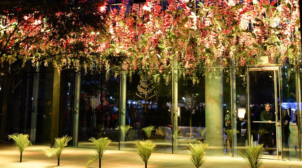 Four Seasons Pop Down