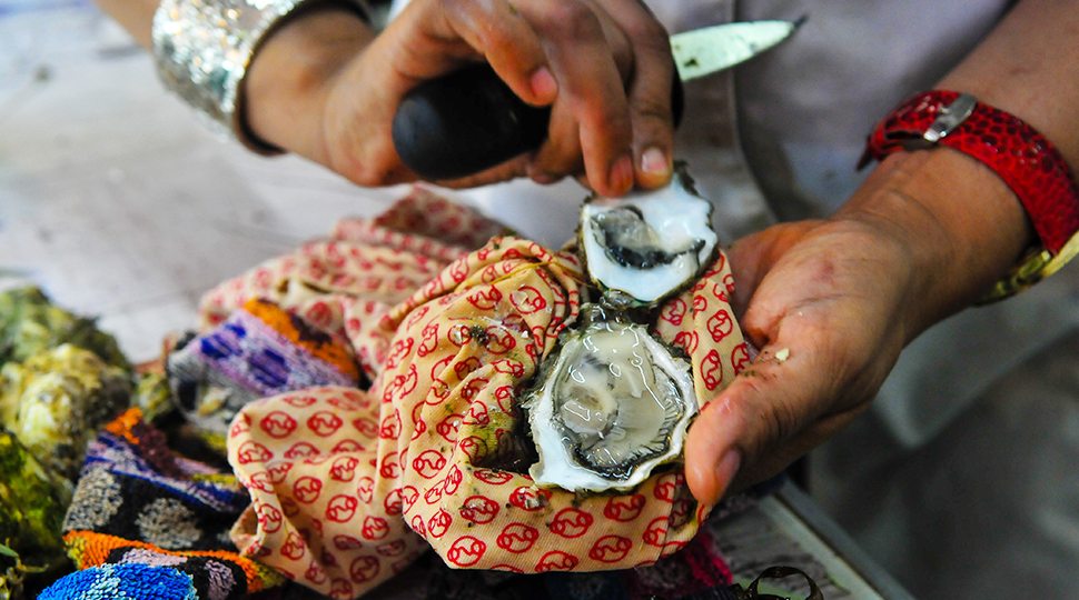 Freshly shucked oyster