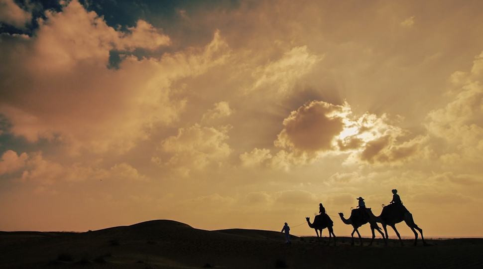 The Camel Trainer Dubai