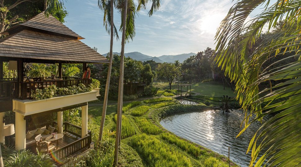 A woman overlooks the pond behind the Four Seasons Resort Chiang Mai
