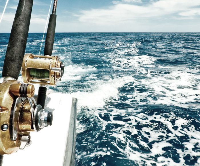 Fishing reel