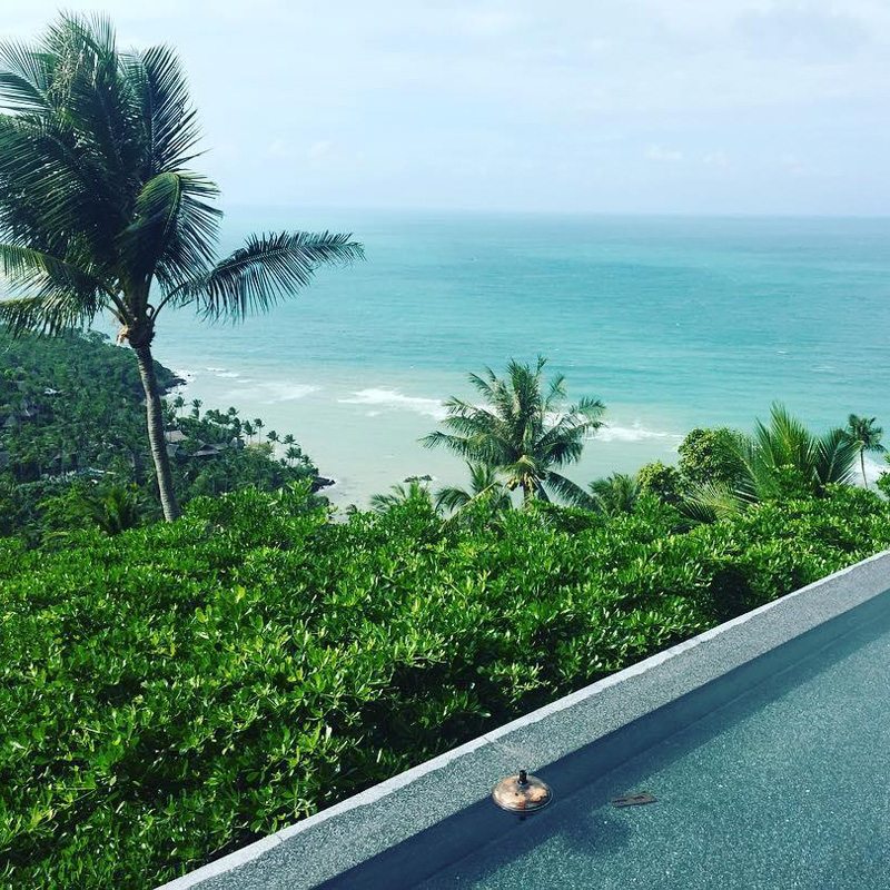 Infinity pool overlooking ocean, palm tree