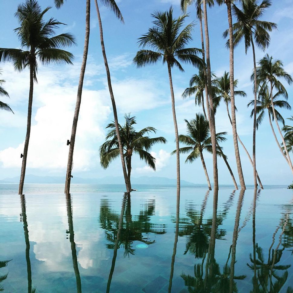 Koh Samui infinity pool with palm trees