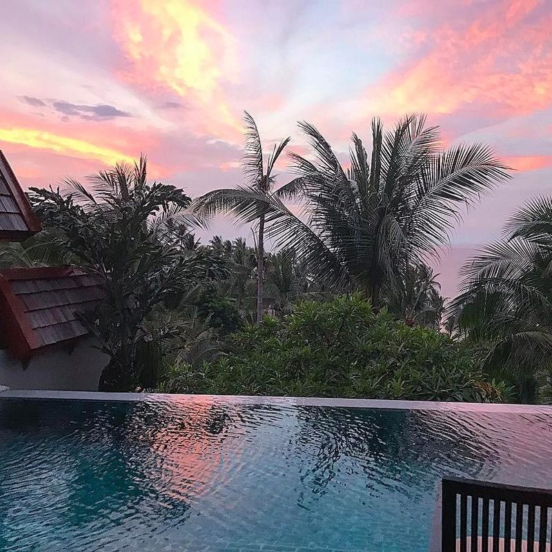 Palm trees and sunset