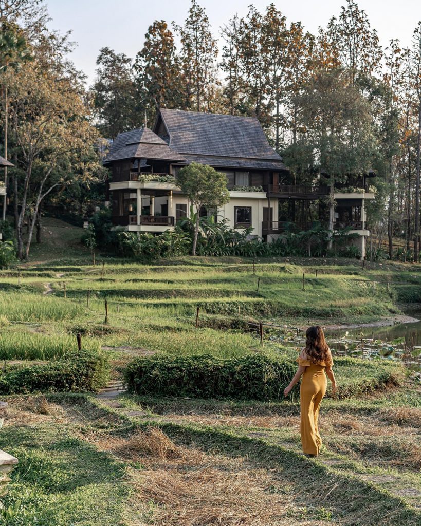 A woman in a yellow dress walls in rice fields