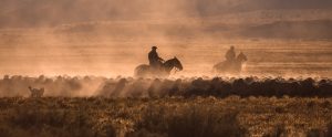 Gauchos in Argentina