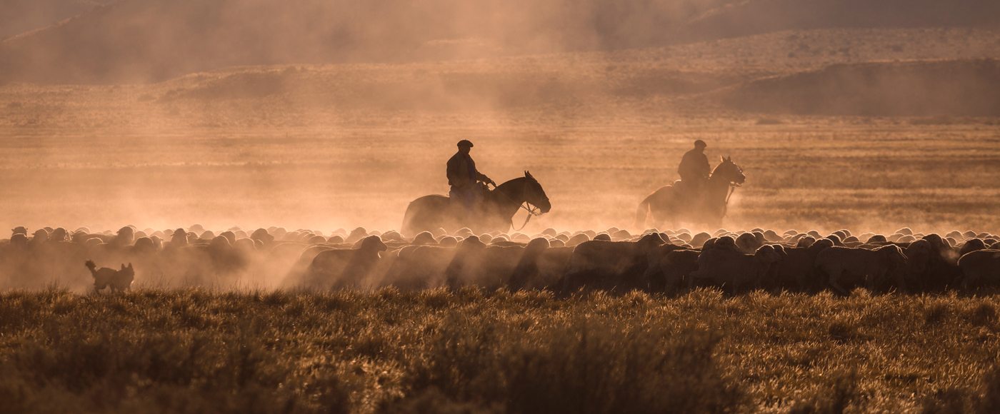 Gauchos in Argentina