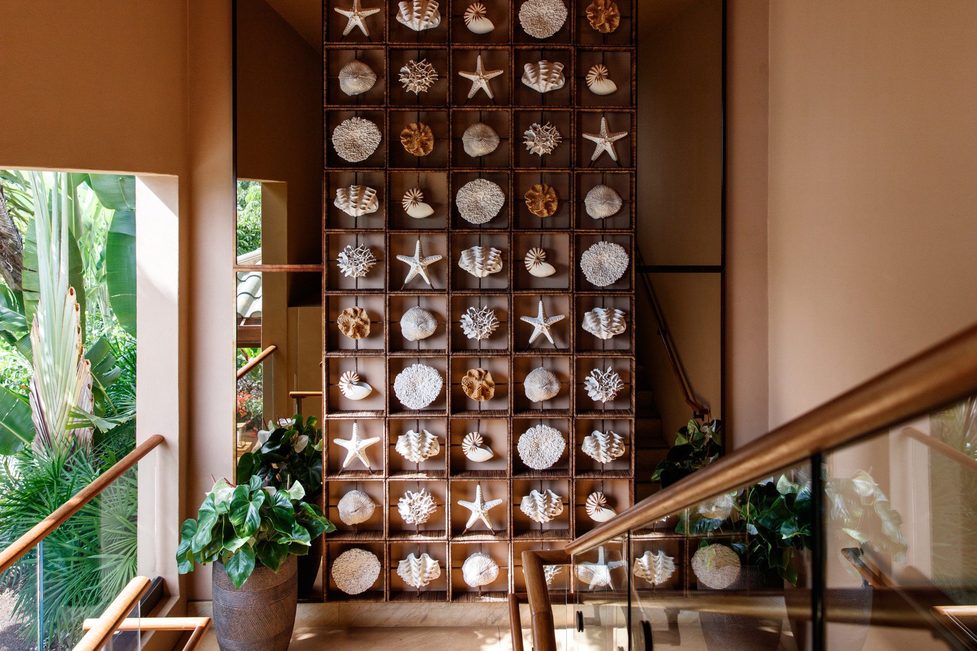 wall with seashells and starfish