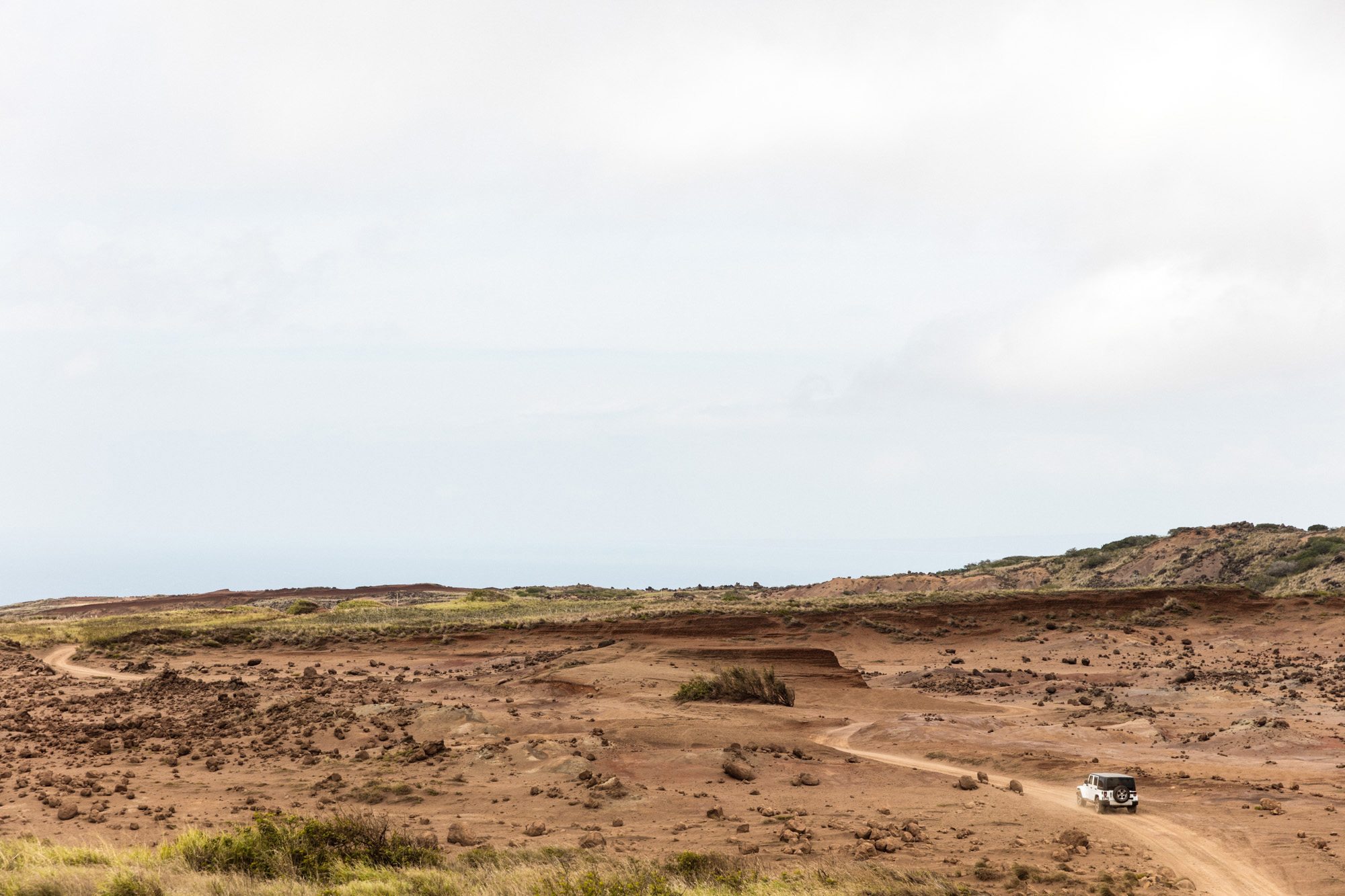 white Jeep on dirt road in desert