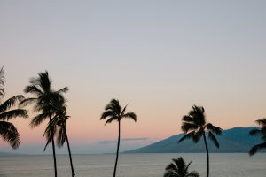 Maui sunset with palm trees