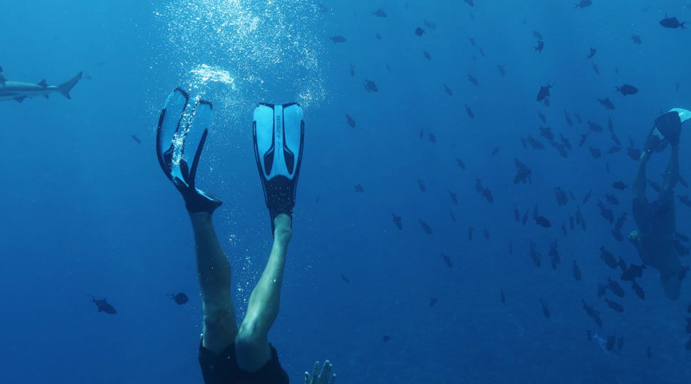 Scuba in Nevis
