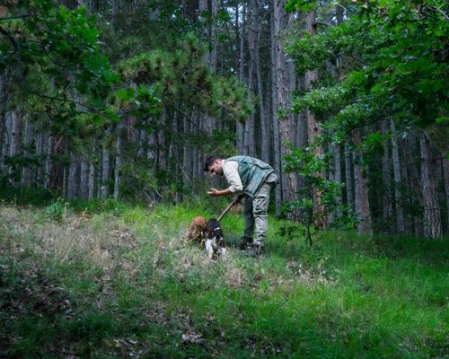 man in woods looking for truffles