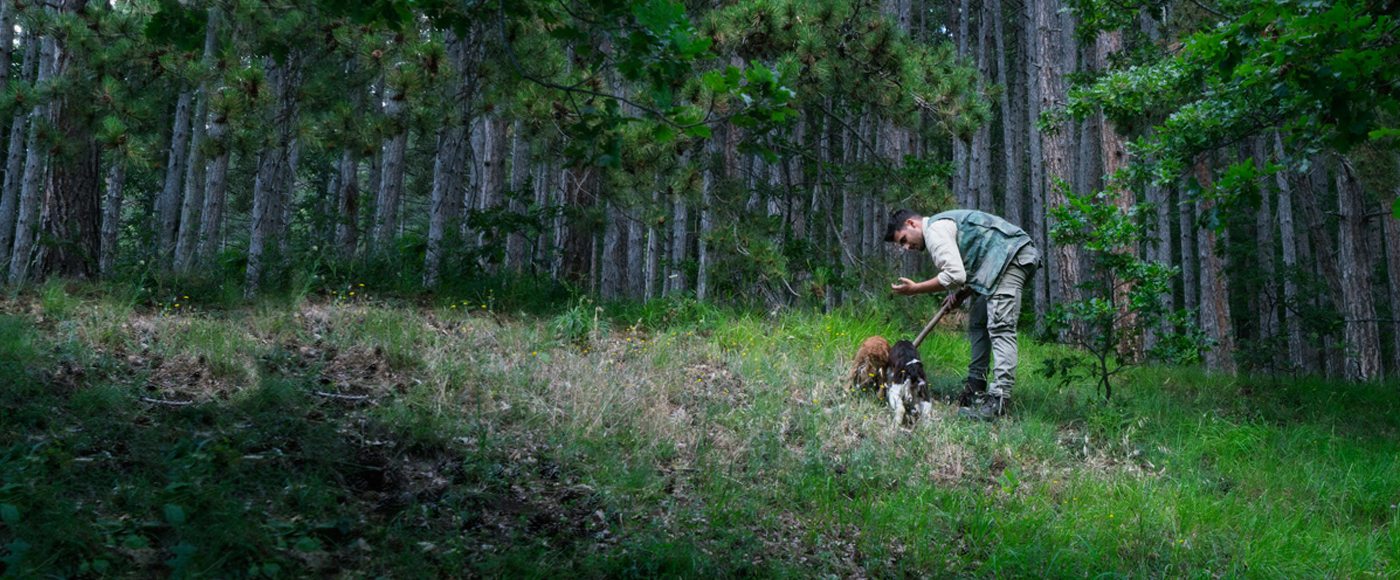man in woods looking for truffles