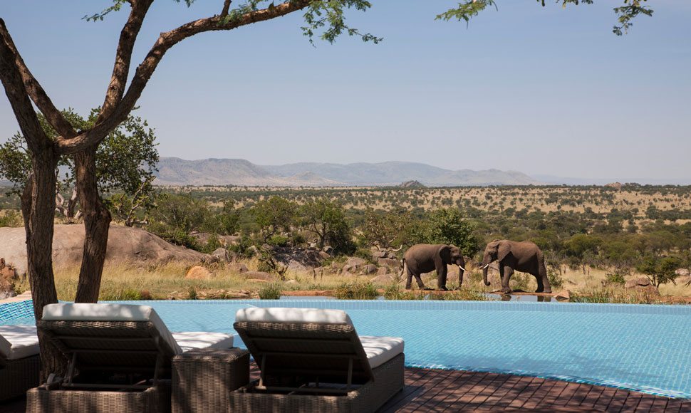 Infinity pool at Four Seasons Safari Lodge Serengeti